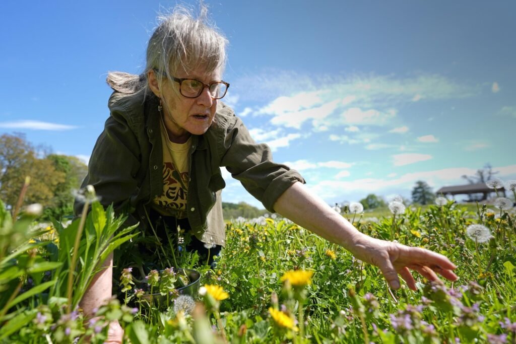 Foraging revival: How wild food enthusiasts are reconnecting with nature