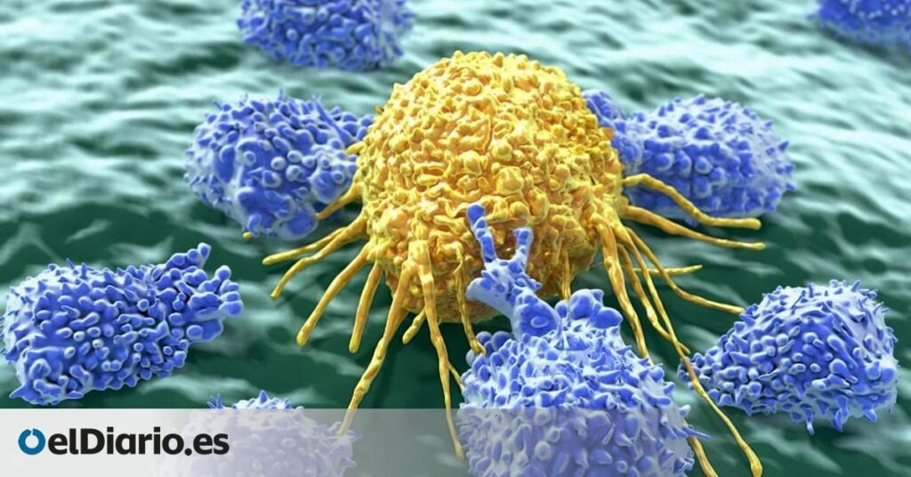 Siete virus que pueden causar cáncer