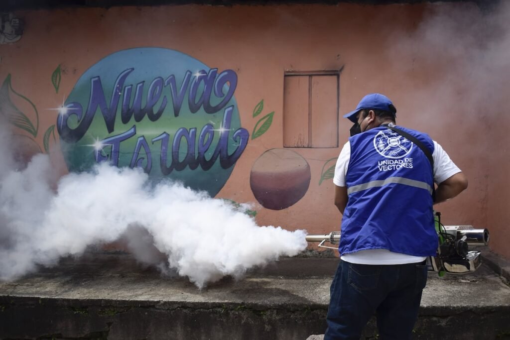 Two of the deadliest mosquitoes have thrived thanks to their ties to humans | Science