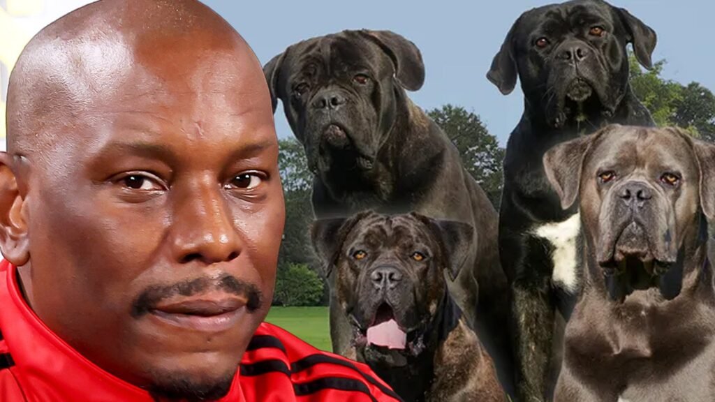 Cops Don't Know Where His Killer Dogs Are