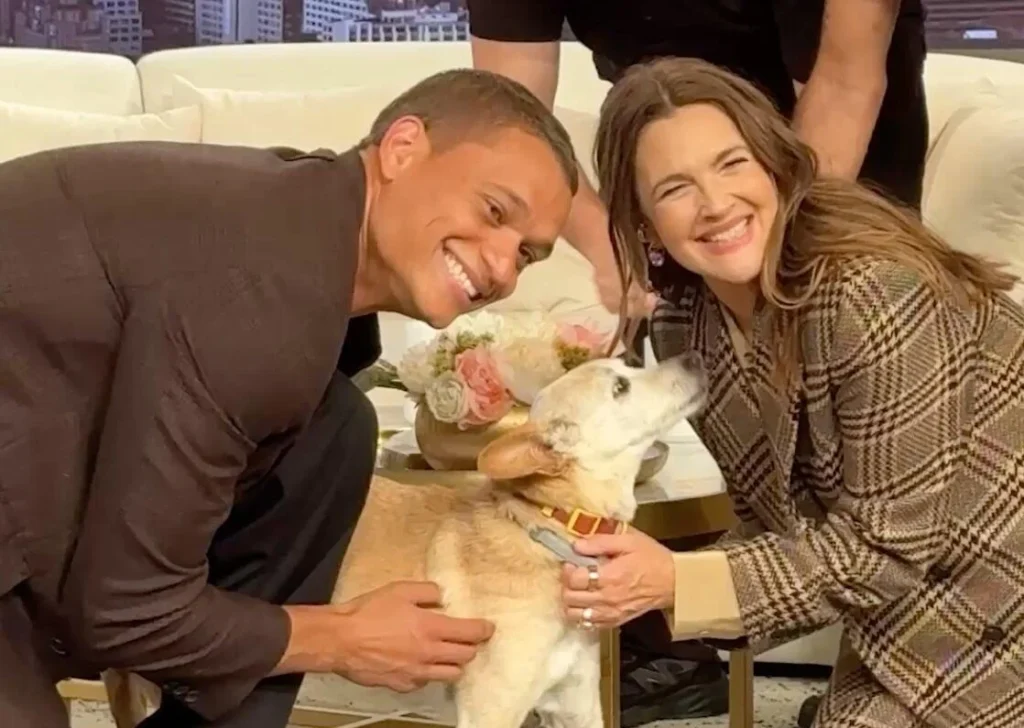 Drew Barrymore Reveals Heartbreaking Origin Story Of Her Beloved Rescue Dog Douglas