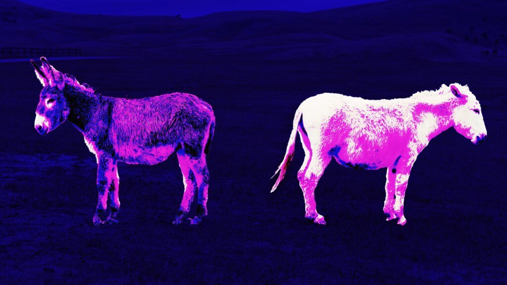 Management beliefs that sabotage lasting change