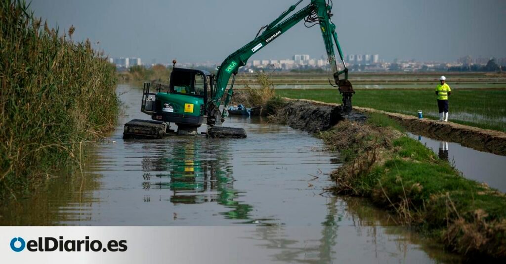 Muere un trabajador al quedar atrapado entre dos máquinas tras unas labores posdana Muere un trabajador al quedar atrapado entre dos máquinas tras unas labores posdana