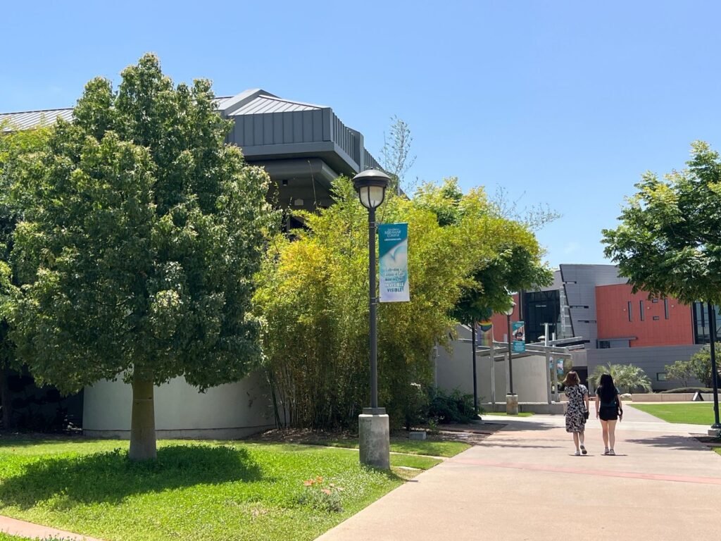 Preliminary report finds fall enrollment up 2.4% among college undergraduates