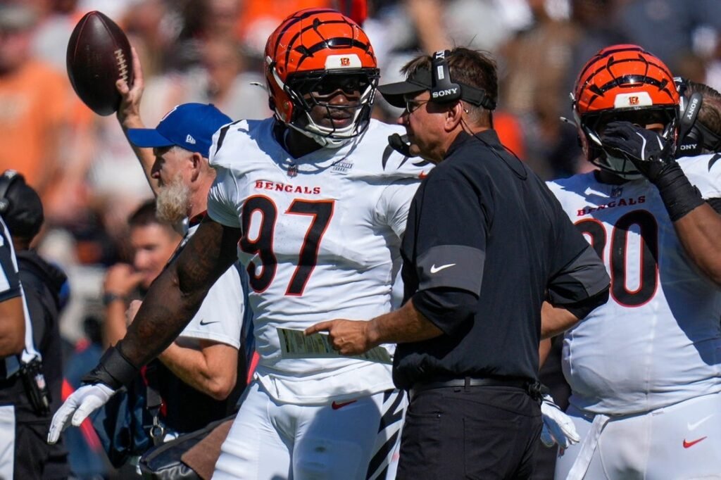 Report: Bengals DE Shemar Stewart (knee) lands on IR