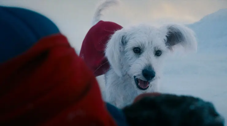 Superman soars straight to Official Film Chart Number 1 Superman soars straight to Official Film Chart Number 1