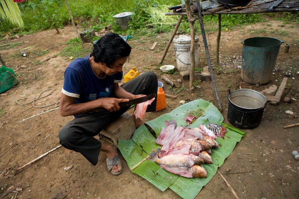 Millennia-old Yuracaré language resists extinction through 900 speakers and a new dictionary | International