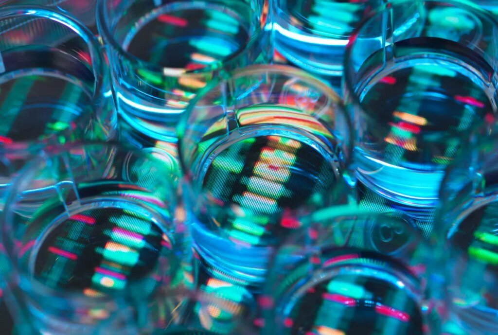 OpenAI-backed biotech firm Chai Discovery raises $130M Series B at $1.3B valuation OpenAI-backed biotech firm Chai Discovery raises $130M Series B at $1.3B valuation