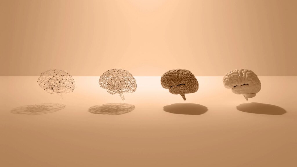 Our brains peak in our early 30s, research says