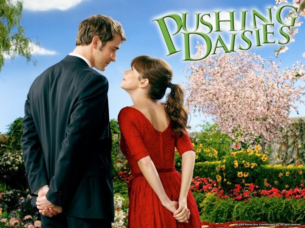 Pushing Daisies: Season Three of Cancelled Series in the Works, Says Creator Bryan Fuller – canceled + renewed TV shows, ratings Pushing Daisies: Season Three of Cancelled Series in the Works, Says Creator Bryan Fuller - canceled + renewed TV shows, ratings