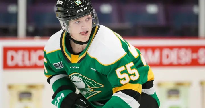 Seb Gatto shuts out Barrie Colts as London Knights head into holiday break with 3rd straight win – London Seb Gatto shuts out Barrie Colts as London Knights head into holiday break with 3rd straight win - London