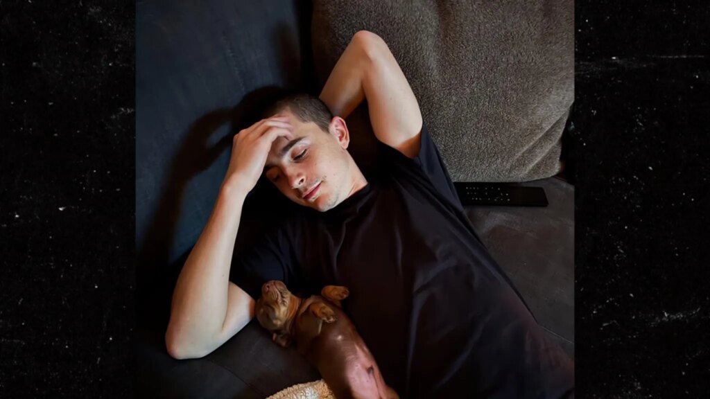 Timothee Chalamet Gets a Love Puppy Timothee Chalamet Gets a Love Puppy
