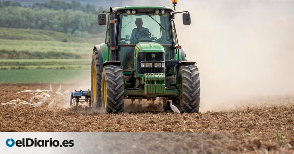 El Gobierno pondrá suelo rústico estatal a disposición de jóvenes agricultores para facilitar el relevo generacional