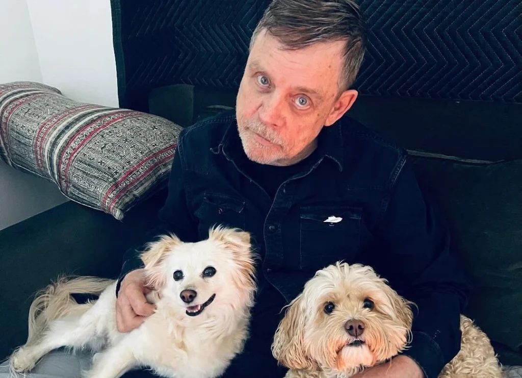 Mark Hamill Celebrates Dog Millie’s 13th Birthday With Intimate Party And Belly Rubs Mark Hamill Celebrates Dog Millie’s 13th Birthday With Intimate Party And Belly Rubs