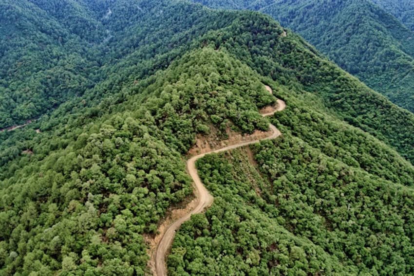 Neil Graham’s poetry about Mexico Neil Graham's poetry about Mexico