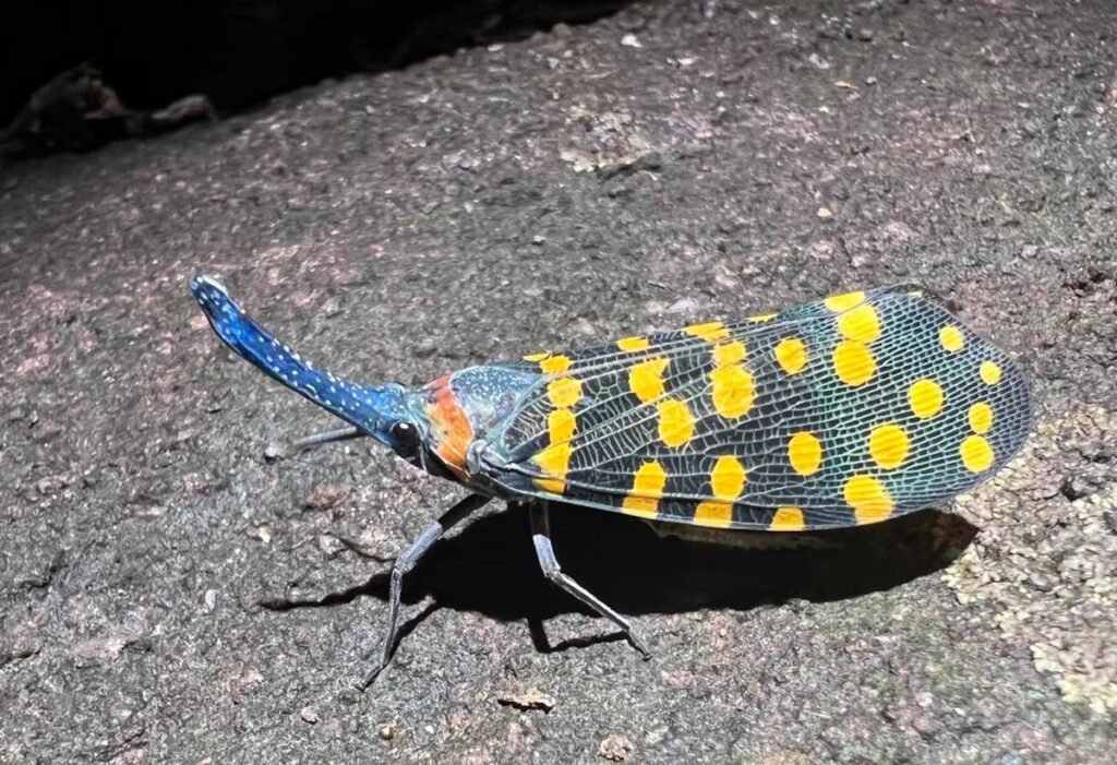 There is as much life left to discover on planet Earth as that which is already known | Science