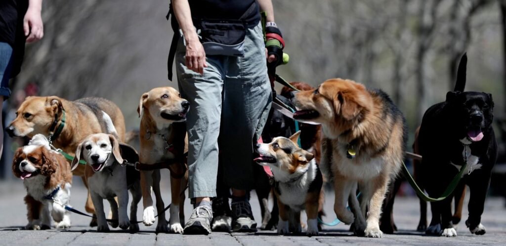 Why ordering takeout or calling the dog walker might lead to a happier relationship