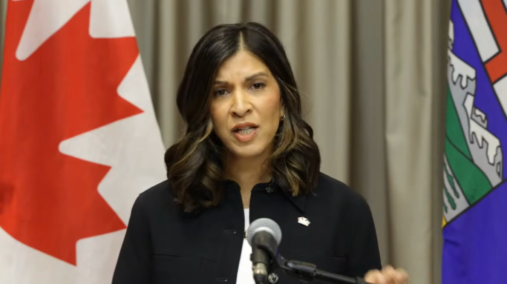 AB NDP's Rakhi Pancholi dismantles Danielle Smith's referendum claims