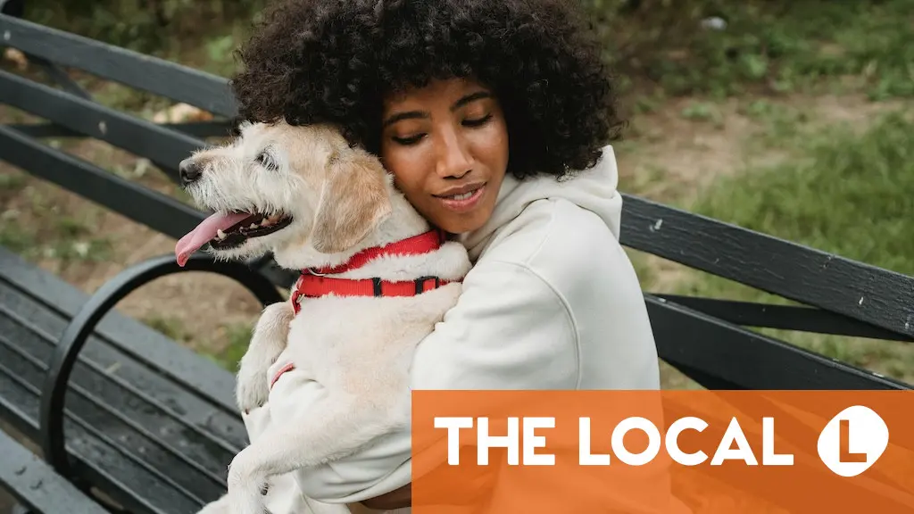 Are emotional support animals recognised in Spain? Are emotional support animals recognised in Spain?