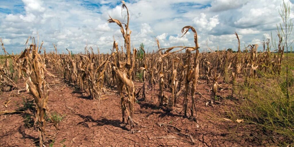 As the planet heats up, water worries worsen