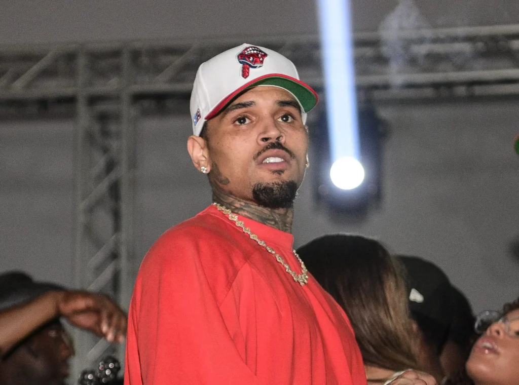 Chris Brown Reacts After TikToker Puts Diamond Brown On Blast