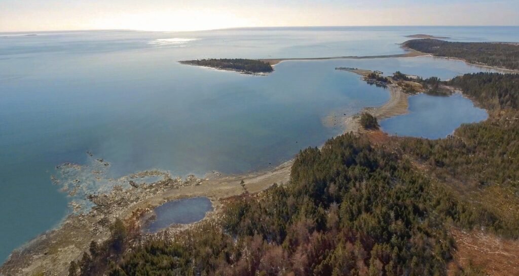 Eager to unload two orcas, French government learns more about Nova Scotia proposal Eager to unload two orcas, French government learns more about Nova Scotia proposal