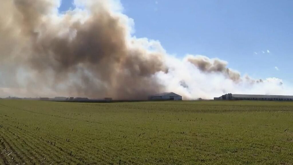 Fire at an Ohio farm complex kills about 6,000 hogs and smoke is visible for miles