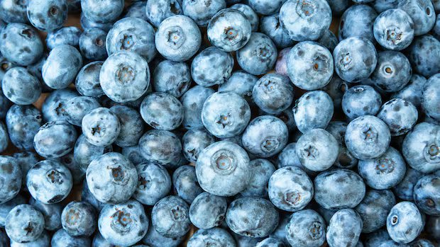 Frozen blueberries recalled over Listeria concern didn’t reach customers in Canada: CFIA Frozen blueberries recalled over Listeria concern didn't reach customers in Canada: CFIA
