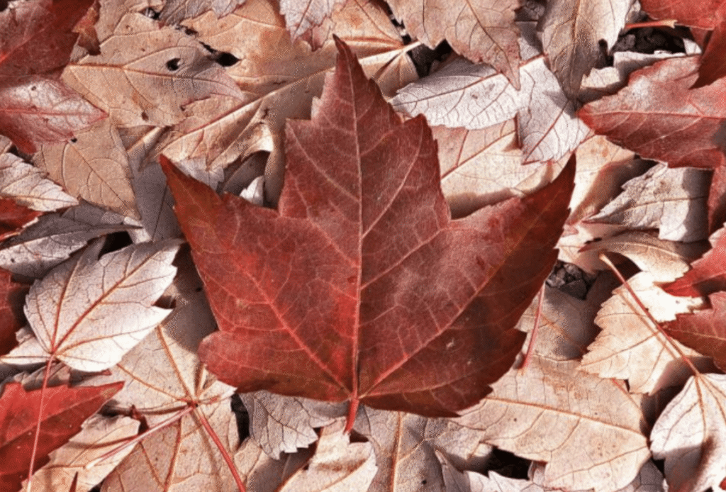 Nationwide events mark four years since Russian invasion of Ukraine