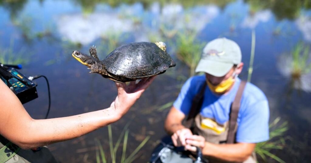 Profesor, estudiantes y exalumna de SUNY Potsdam aparecen en documental