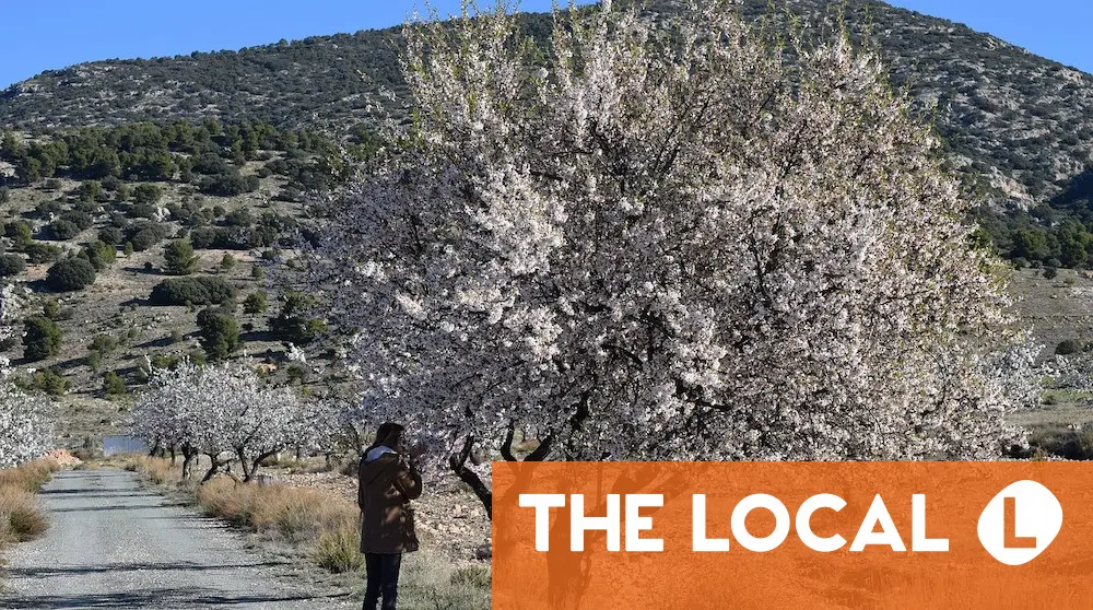 The best places to see spring blossom in Spain The best places to see spring blossom in Spain