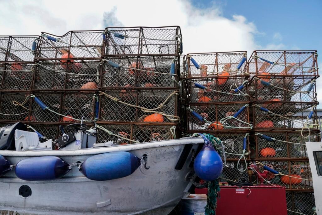 'Deadliest Catch' deckhand Todd Meadows dies while crabbing in Alaskan waters