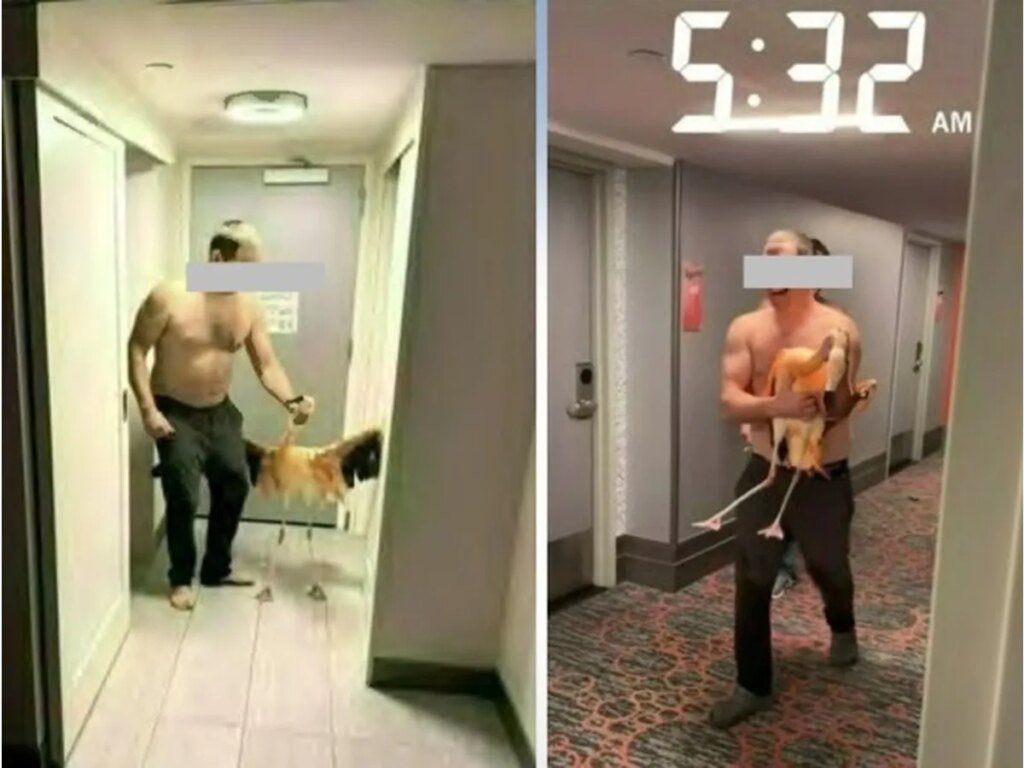'It’s kind of serious stuff,' Vegas hotel tells 911 after Canadian man's alleged flamingo theft