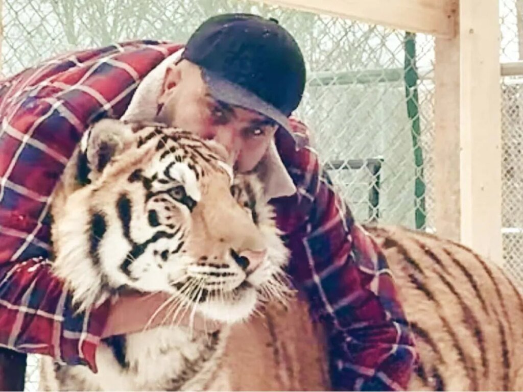 'The risk is real': Two tigers must be removed from residential property, says mayor of Ontario town 'The risk is real': Two tigers must be removed from residential property, says mayor of Ontario town