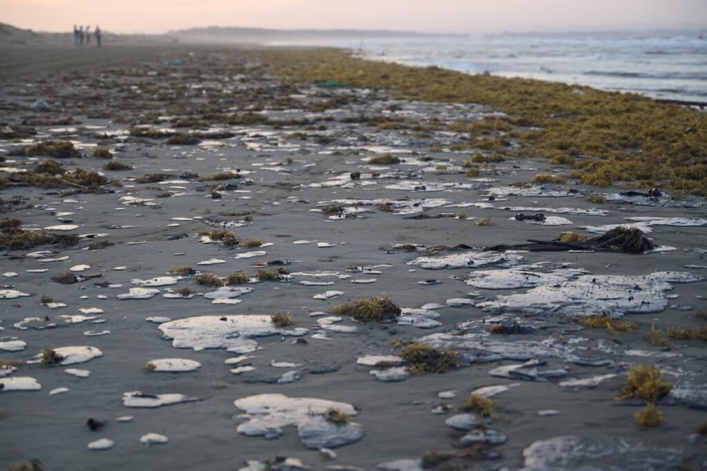 An oil spill in the Gulf of Mexico is met with two weeks of evasive responses | Climate