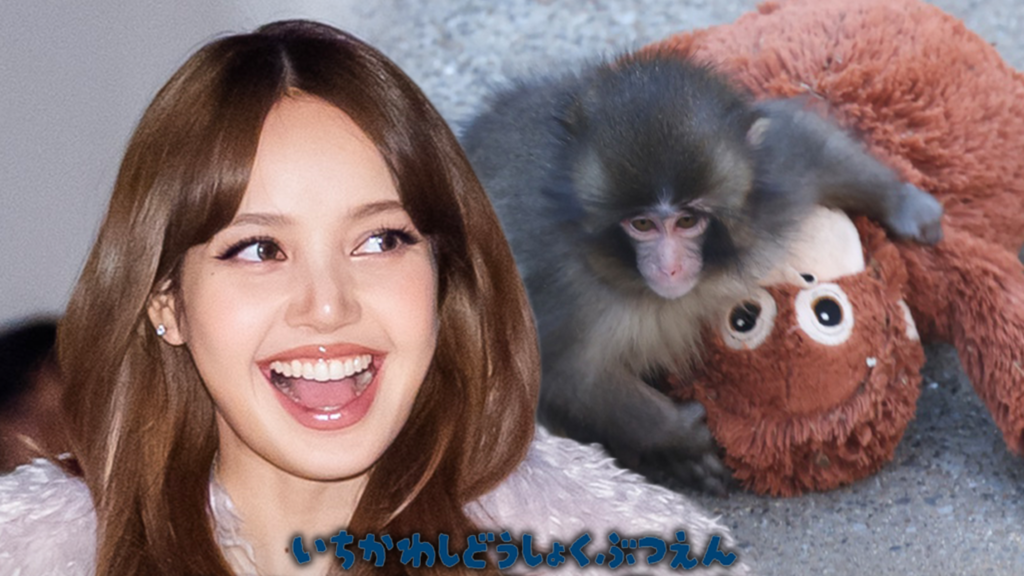 BLACKPINK's LISA Visits Punch the Monkey, Brings Orangutan Stuffed Animal