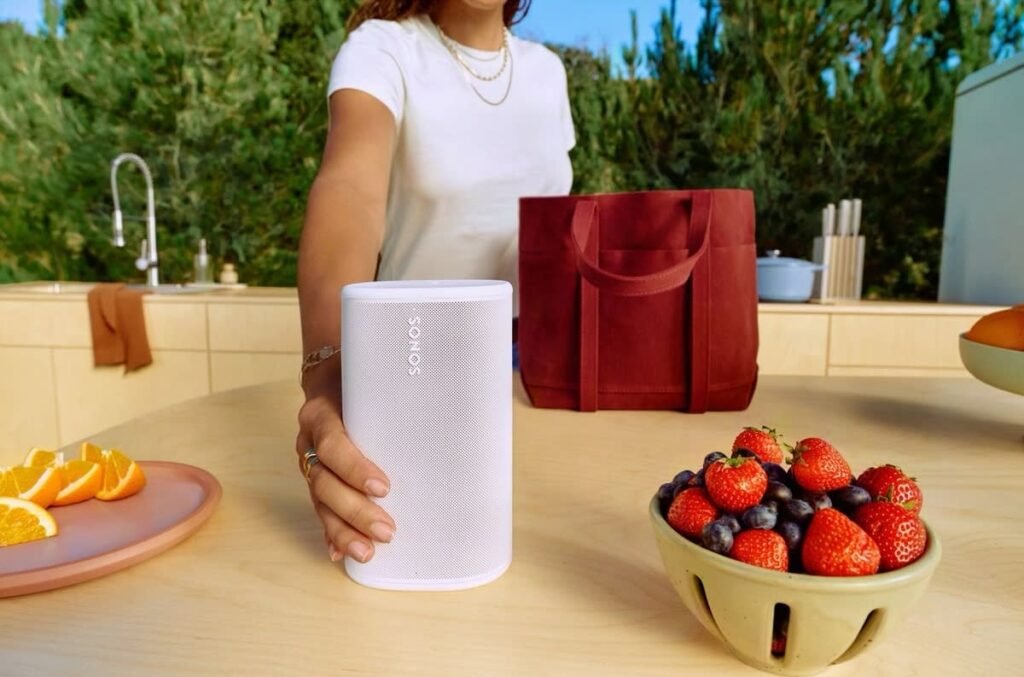 Best Buy Canada seemingly just leaked Sonos' next portable speaker