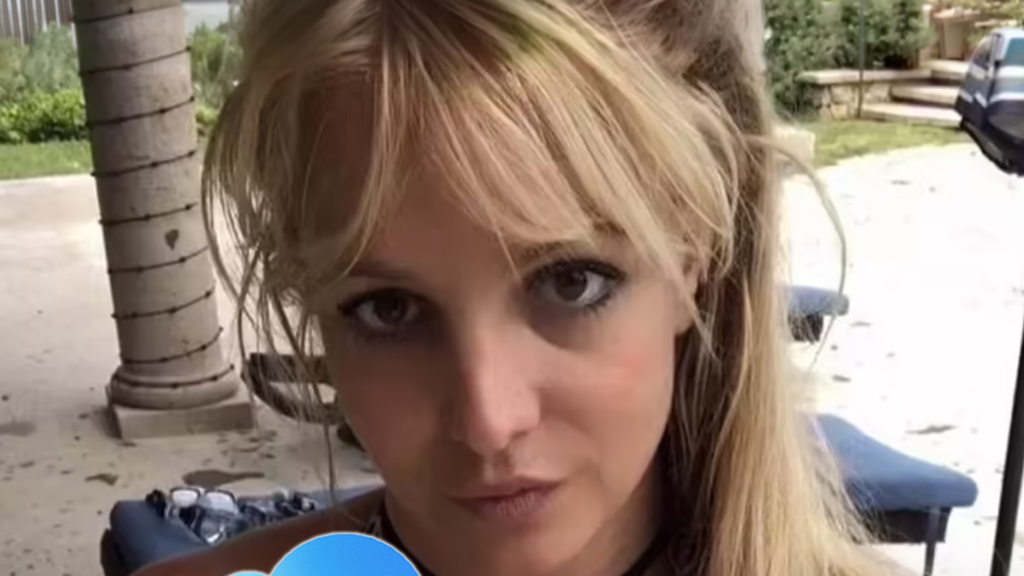 Britney Spears Alleges Former Bodyguard Hacked Into Her iCloud Account