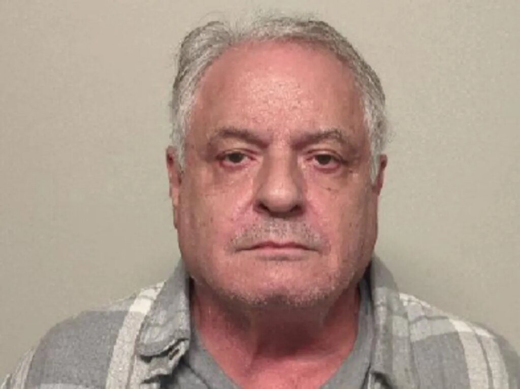 Canadian pleads guilty to claiming US citizenship to vote in elections