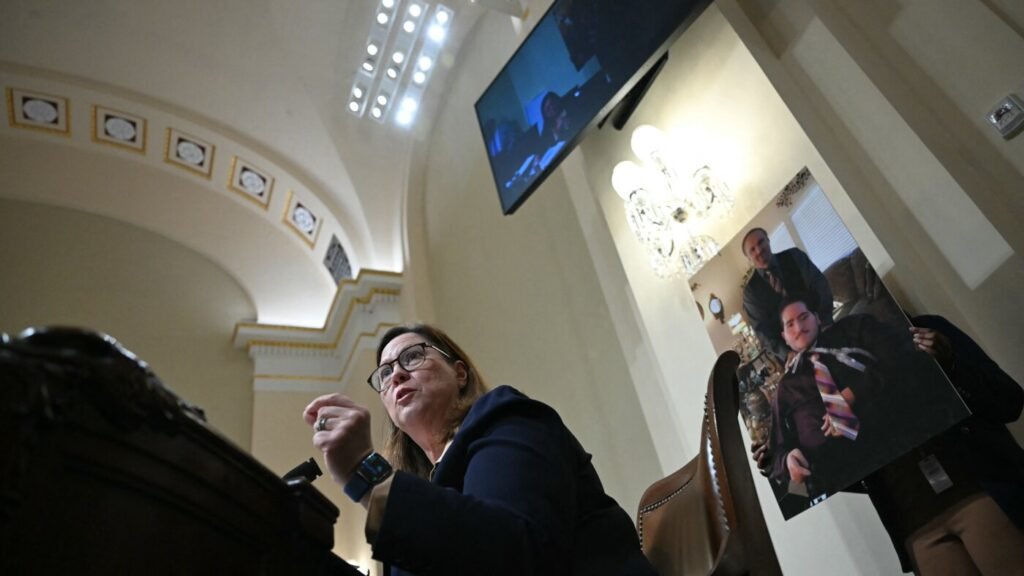 DHS shutdown curbs detention oversight, Democrat says : NPR DHS shutdown curbs detention oversight, Democrat says : NPR