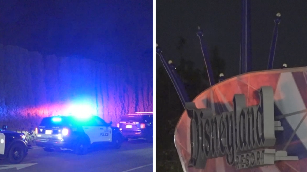 Disneyland 'Swatting' Hoax Draws Massive Police Response to Park