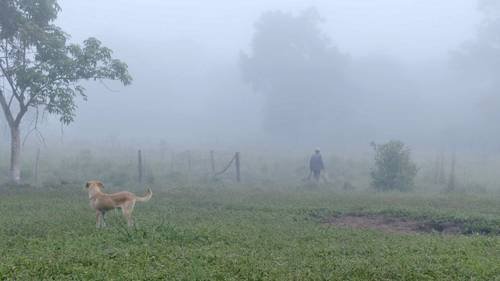 Documental retrata a una comunidad zapoteca despojada de su territorio Documental retrata a una comunidad zapoteca despojada de su territorio