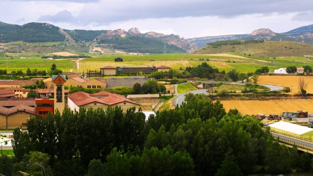 España propone aumentar un 30% los negocios en las zonas rurales