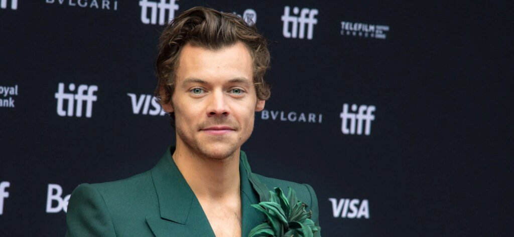 Harry Styles Netflix Screening Sparks Fan Backlash