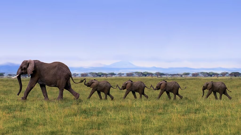 How to Convince Others to Trust Your Instincts