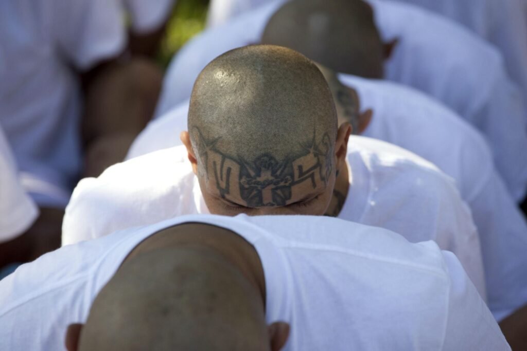 Imprisoned MS-13 gang member sues Trump administration to get sex-change treatment