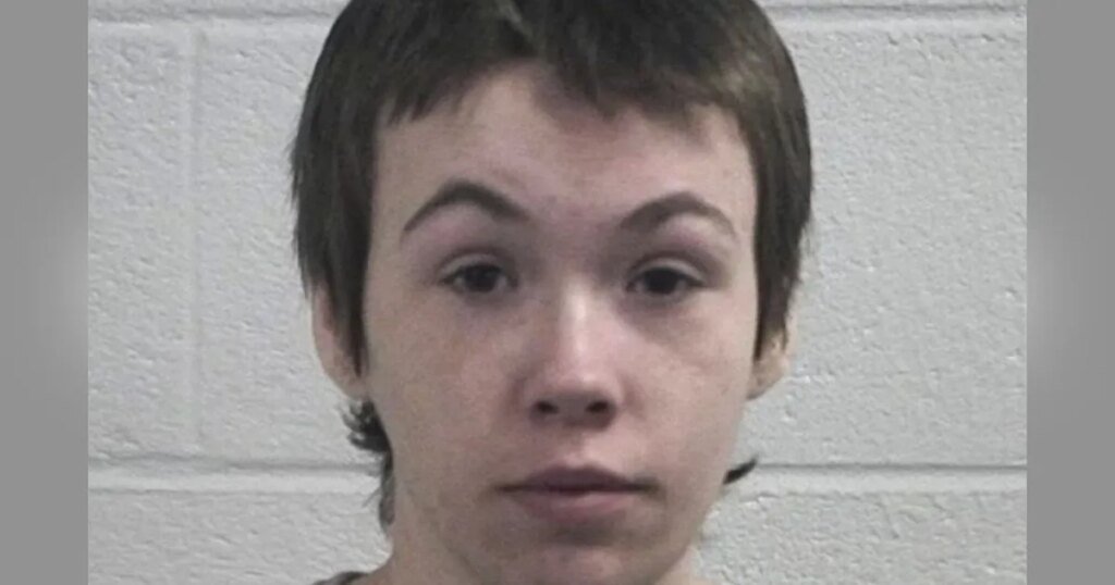 Mom Admits She Killed 2 Sons Years Apart by Holding Nostrils