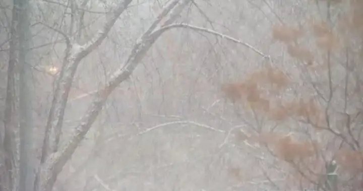 Much of Alberta, parts of B.C. and Saskatchewan set to see dangerous winds Much of Alberta, parts of B.C. and Saskatchewan set to see dangerous winds