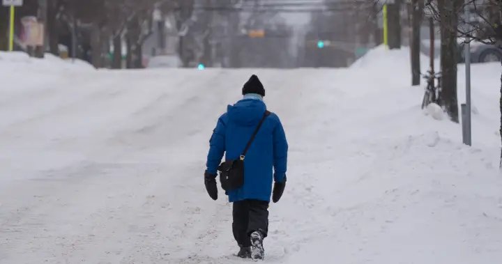 Parts of Nova Scotia, Quebec get early spring blast of snow Parts of Nova Scotia, Quebec get early spring blast of snow