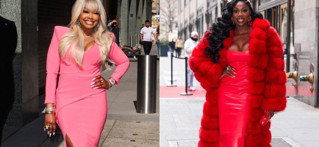 Phaedra Parks Says Wendy Osefo Should Take A Plea Deal In Fraud Case